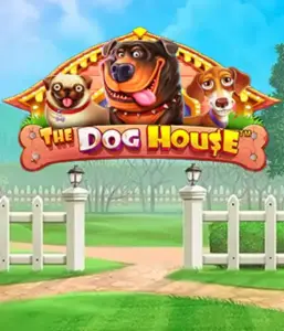 Pragmatic Play's The Dog House Slot, featuring a delightful experience into the world of lovable dogs. Enjoy gameplay elements such as sticky wilds, perfect for delivering joyful moments. Perfect for those who enjoy an amusing theme alongside lucrative rewards.